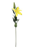 Lilium Spray Yellow - 91cm