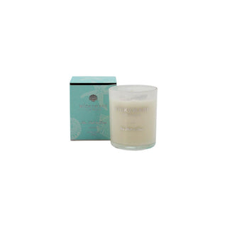 Jar Candle - Sea Salt & Lime - 120g