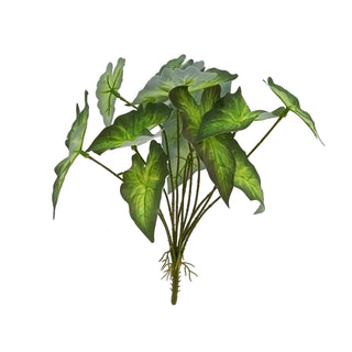 Greenary - Alocasia Bush - 18x18x26cm