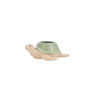 Turtle Pot - 15.2x12.2x5.3cm - Green