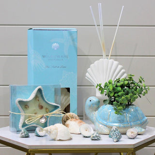 Costal Diffuser - Shell Sea Salt Lime - 200ml