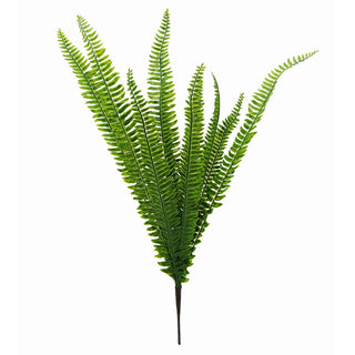 Greenary - Fern Bush - 12x12x67cm