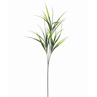 Greenary - Native Grass - 14x14x72cm