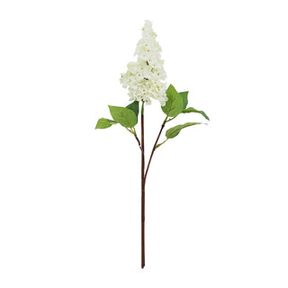 Dutch Lilac Cutting Cream & Green - 48cm