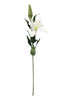 Lilium Spray Cream - 91cm