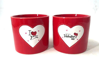 Pot - Valentine - 2 Mixed - Red - 13.3x13.3x12cm