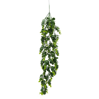 Greenary - Hanging Eucalyptus - 7x7x74cm